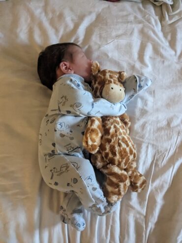 Introducing Barnaby Piper: A Bundle of Joy Joins Our Family!”